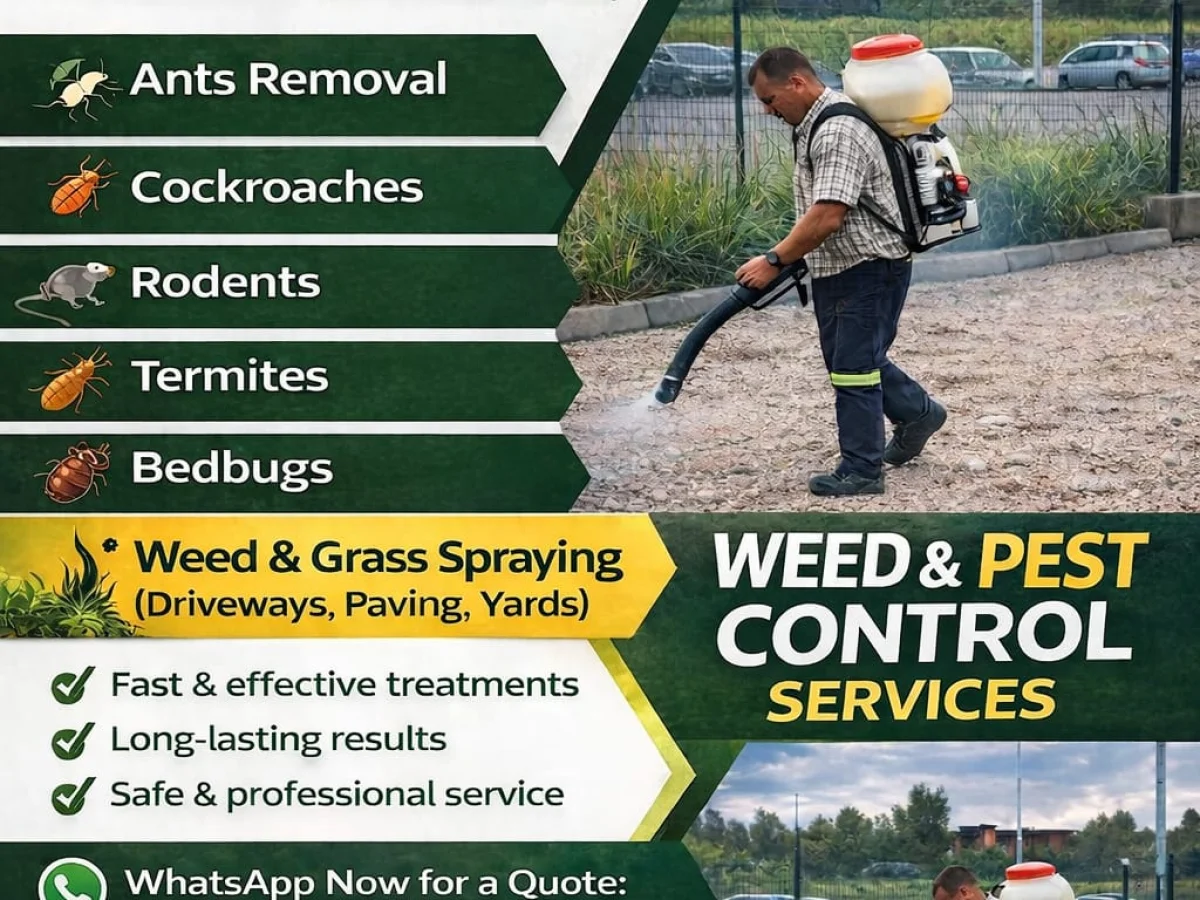 Pest Control Service